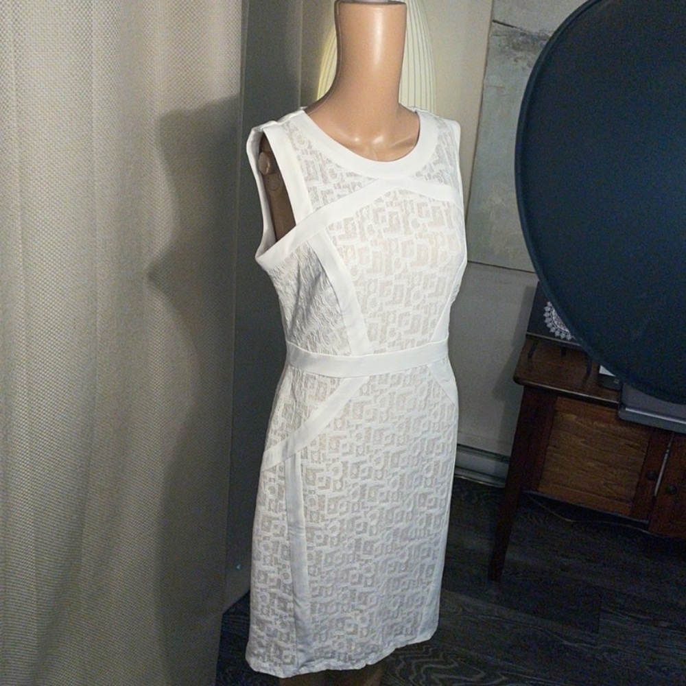Jax Stunning Cream Dress Lace S